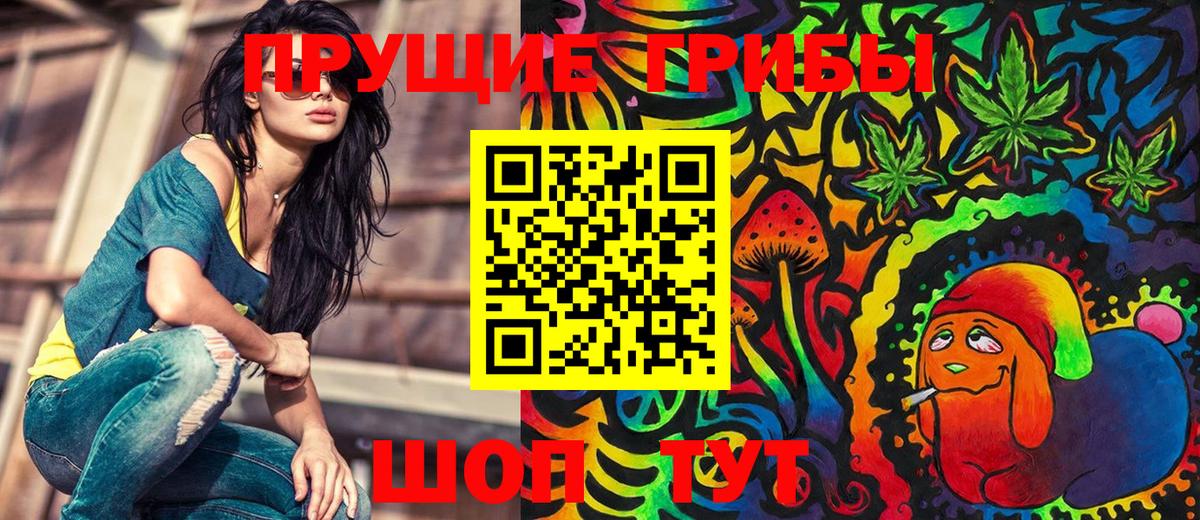 Псилоцибиновые грибы Cubensis  Вход с VPN  Павловский Посад  Псилоцибиновые грибы Psilocybe 