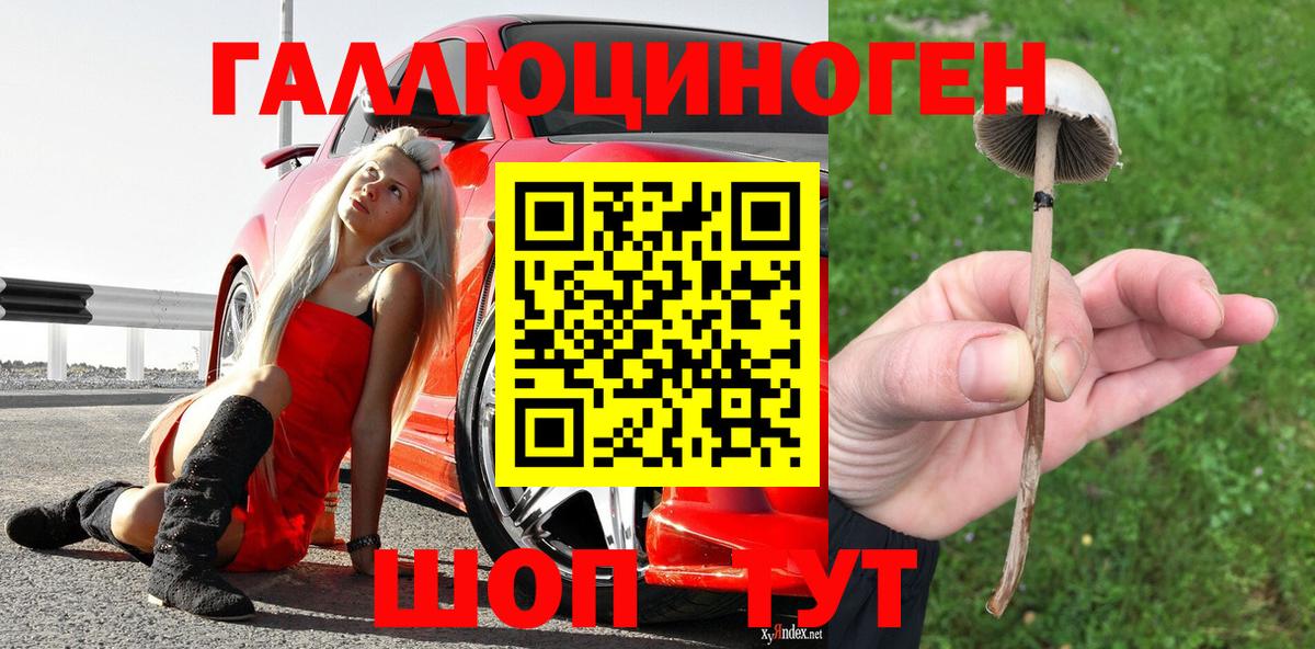 Галлюциногенные грибы Psilocybine cubensis Павловский Посад